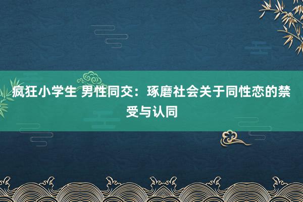 疯狂小学生 男性同交：琢磨社会关于同性恋的禁受与认同