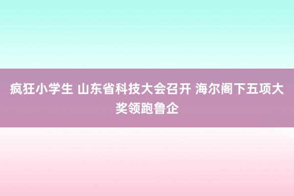 疯狂小学生 山东省科技大会召开 海尔阁下五项大奖领跑鲁企