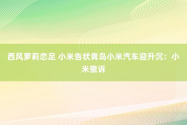 西风萝莉恋足 小米告状青岛小米汽车迎升沉：小米撤诉