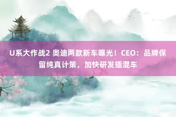 U系大作战2 奥迪两款新车曝光！CEO：品牌保留纯真计策，加快研发插混车