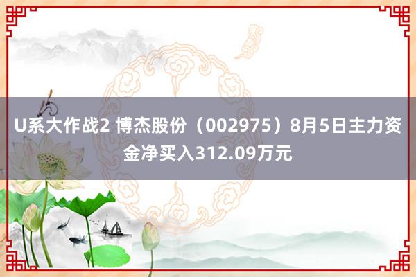 U系大作战2 博杰股份（002975）8月5日主力资金净买入312.09万元