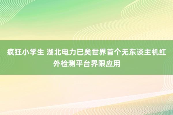 疯狂小学生 湖北电力已矣世界首个无东谈主机红外检测平台界限应用