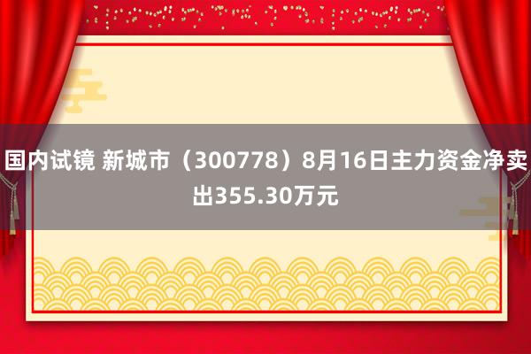 国内试镜 新城市（300778）8月16日主力资金净卖出355.30万元