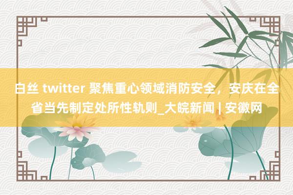 白丝 twitter 聚焦重心领域消防安全，安庆在全省当先制定处所性轨则_大皖新闻 | 安徽网