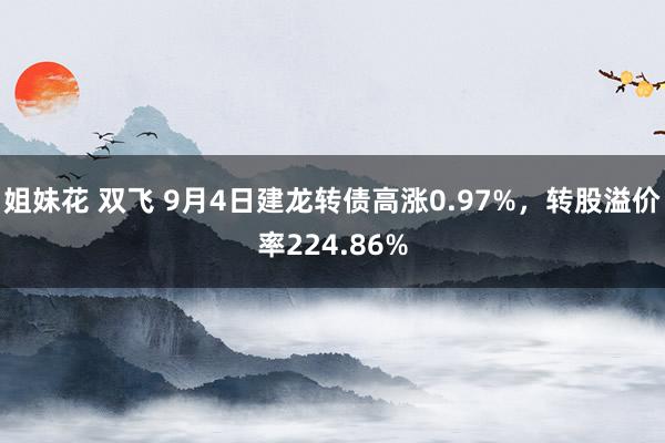 姐妹花 双飞 9月4日建龙转债高涨0.97%，转股溢价率224.86%