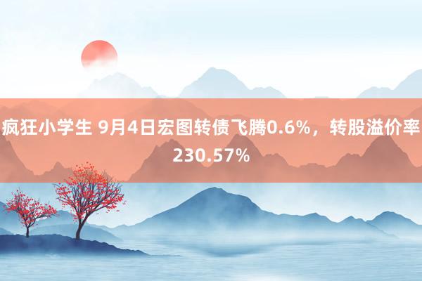 疯狂小学生 9月4日宏图转债飞腾0.6%，转股溢价率230.57%