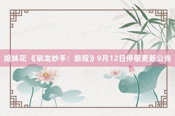 姐妹花 《驯龙妙手：旅程》9月12日停服更新公告