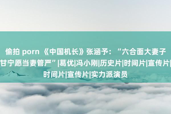 偷拍 porn 《中国机长》张涵予：“六合面大妻子最大，我心甘宁愿当妻管严”|葛优|冯小刚|历史片|时间片|宣传片|实力派演员