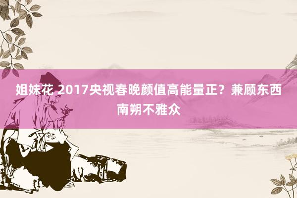 姐妹花 2017央视春晚颜值高能量正？兼顾东西南朔不雅众