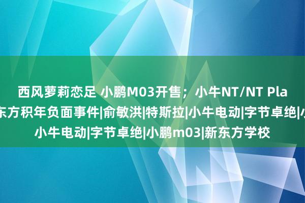 西风萝莉恋足 小鹏M03开售；小牛NT/NT Play发布；罗永浩晒新东方积年负面事件|俞敏洪|特斯拉|小牛电动|字节卓绝|小鹏m03|新东方学校